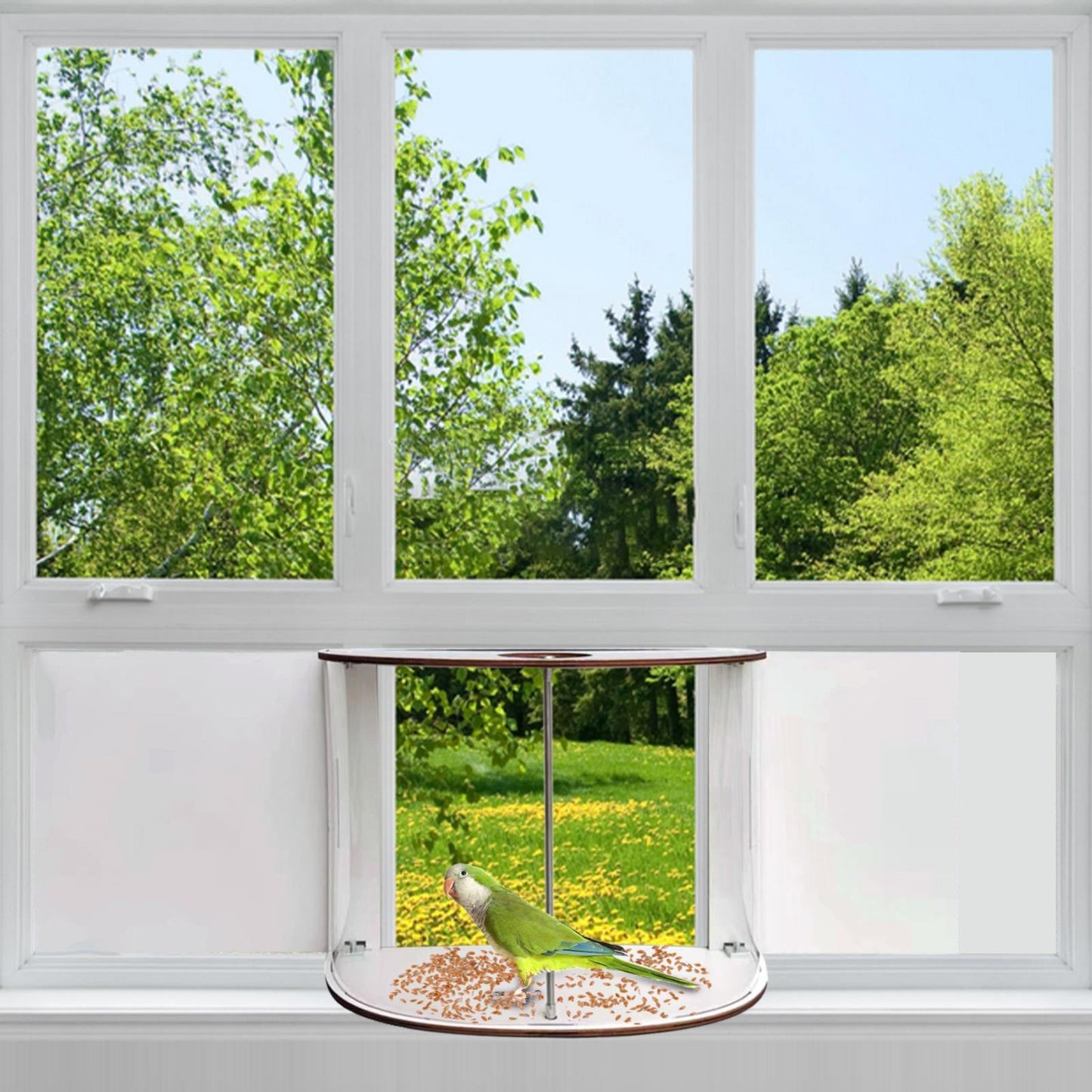 Window Bird Feeder with 180° Clear View – Indoor Fill, Easy Clean, Adjustable Size