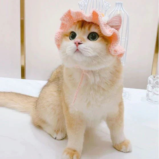 Wool Pet Hat - Cute Knitted Winter Hat for Cats & Dogs