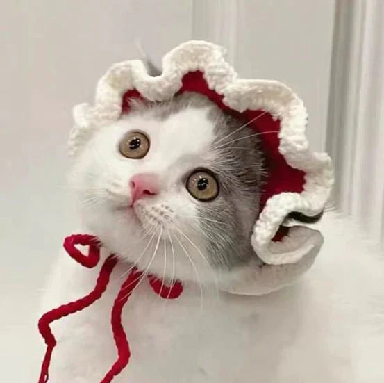 Wool Pet Hat - Cute Knitted Winter Hat for Cats & Dogs