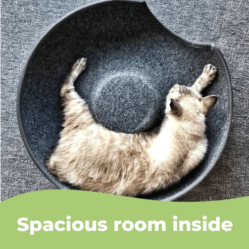 Donut Cat Bed Tunnel - 2-in-1 Foldable Wool Felt Pet Bed & Play Tunnel