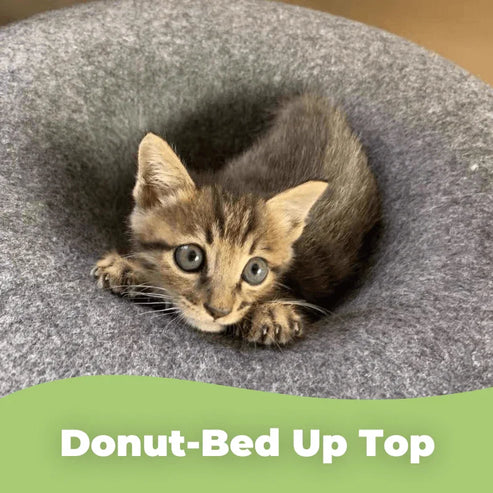 Donut Cat Bed Tunnel - 2-in-1 Foldable Wool Felt Pet Bed & Play Tunnel
