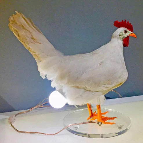 Chicken Egg Lamp – Cute Resin Night Light for Kids Room & Home Decor