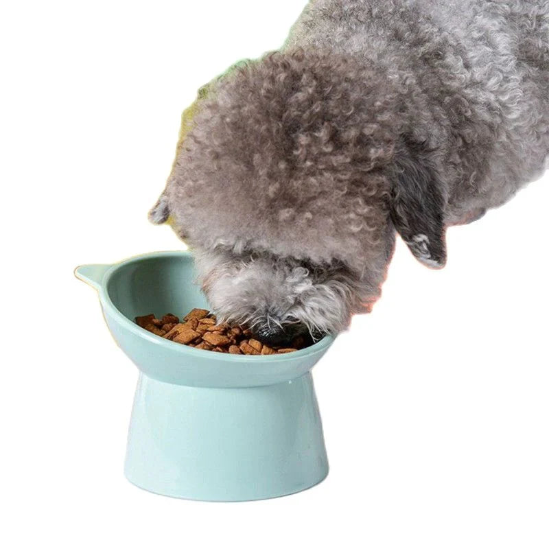 Tilted Pet Bowl - Elevated 45° Raised Food Water Bowl for Dogs & Cats