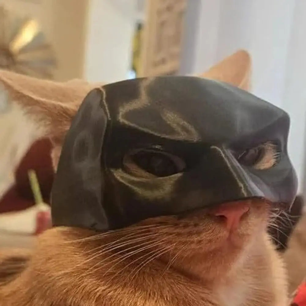 Bat Cat Superhero Mask – Matte Black PLA Cat Costume Accessory