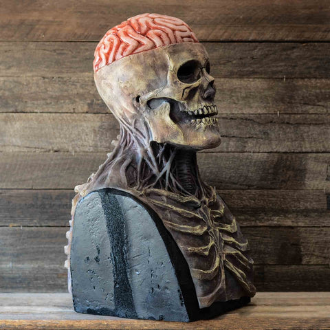Skull Mask Halloween - Movable Jaw Full Head Skeleton Costume Mask