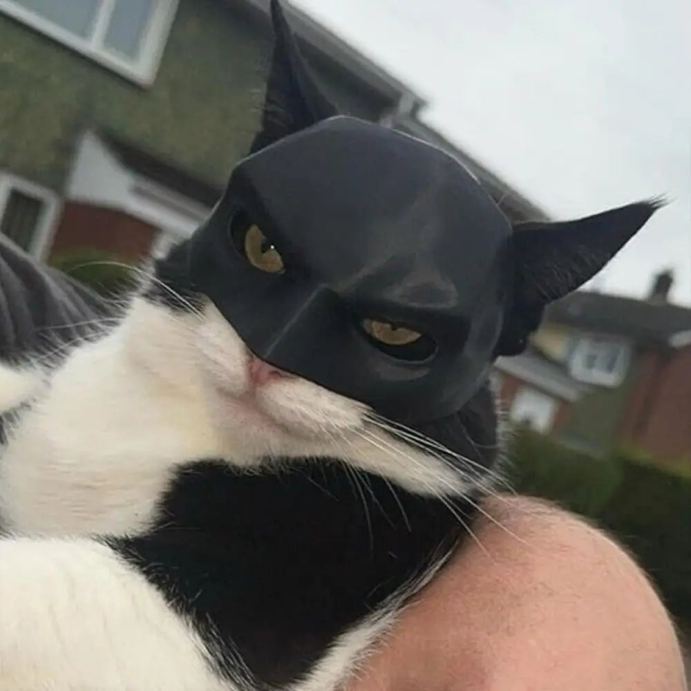 Bat Cat Superhero Mask – Matte Black PLA Cat Costume Accessory