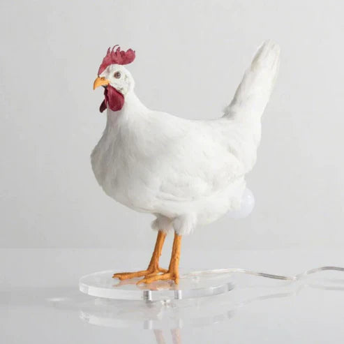 Chicken Egg Lamp – Cute Resin Night Light for Kids Room & Home Decor