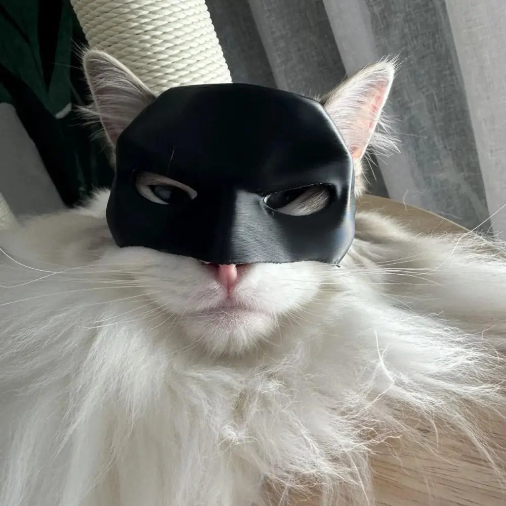 Bat Cat Superhero Mask – Matte Black PLA Cat Costume Accessory