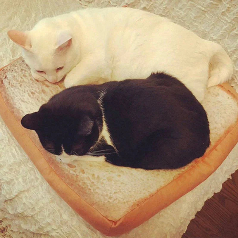 Toast Cat Bed - Cute Bread Slice Shaped Warm Pet Bed for Cats & Small Dogs