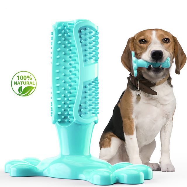 Dog Toothbrush Squeaky Chew Toy – Interactive Dental Cleaning Toy for Dogs