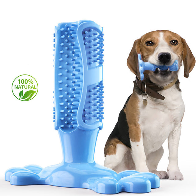 Dog Toothbrush Squeaky Chew Toy – Interactive Dental Cleaning Toy for Dogs