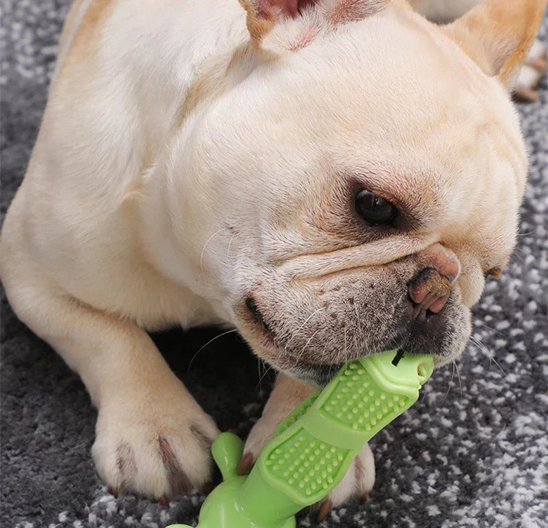 Dog Toothbrush Squeaky Chew Toy – Interactive Dental Cleaning Toy for Dogs