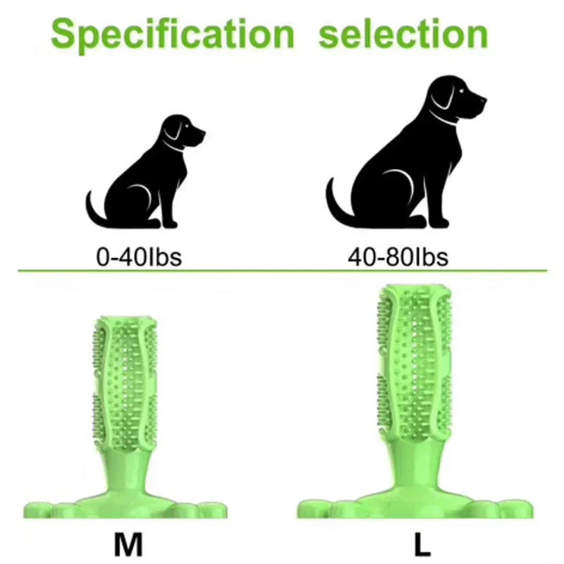 Dog Toothbrush Squeaky Chew Toy – Interactive Dental Cleaning Toy for Dogs