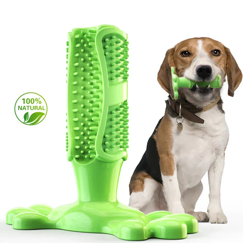 Dog Toothbrush Squeaky Chew Toy – Interactive Dental Cleaning Toy for Dogs