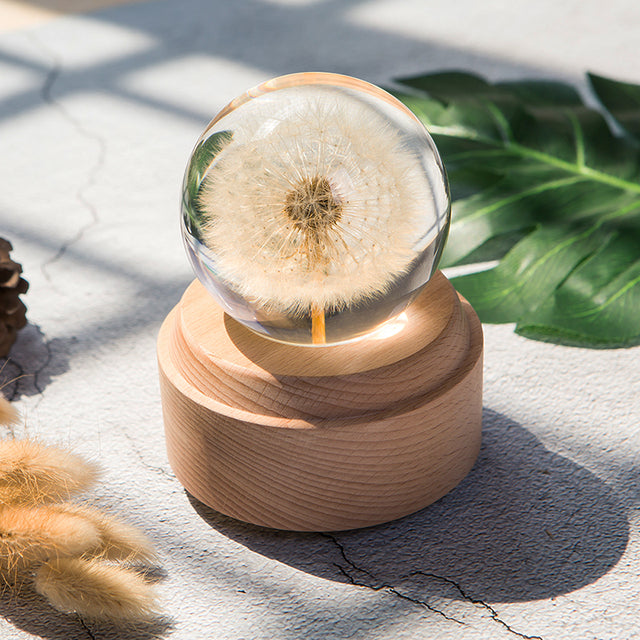 Dandelion Crystal Resin Ball – Real Flower Specimen Paperweight in 4 Sizes