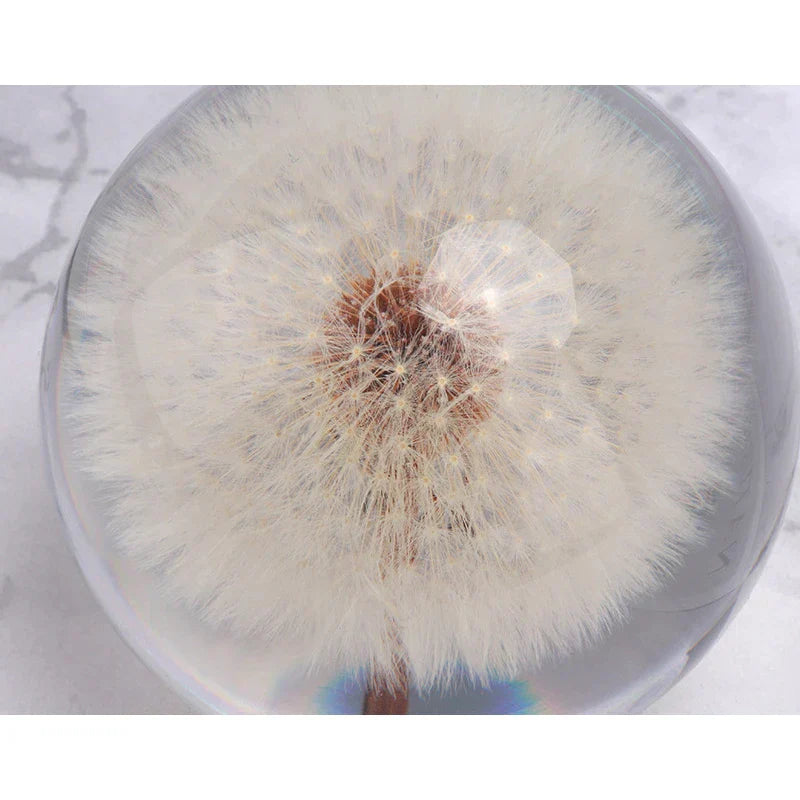 Dandelion Crystal Resin Ball – Real Flower Specimen Paperweight in 4 Sizes
