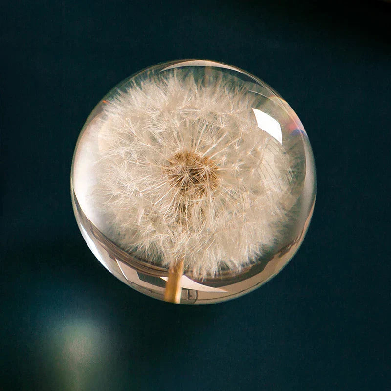 Dandelion Crystal Resin Ball – Real Flower Specimen Paperweight in 4 Sizes