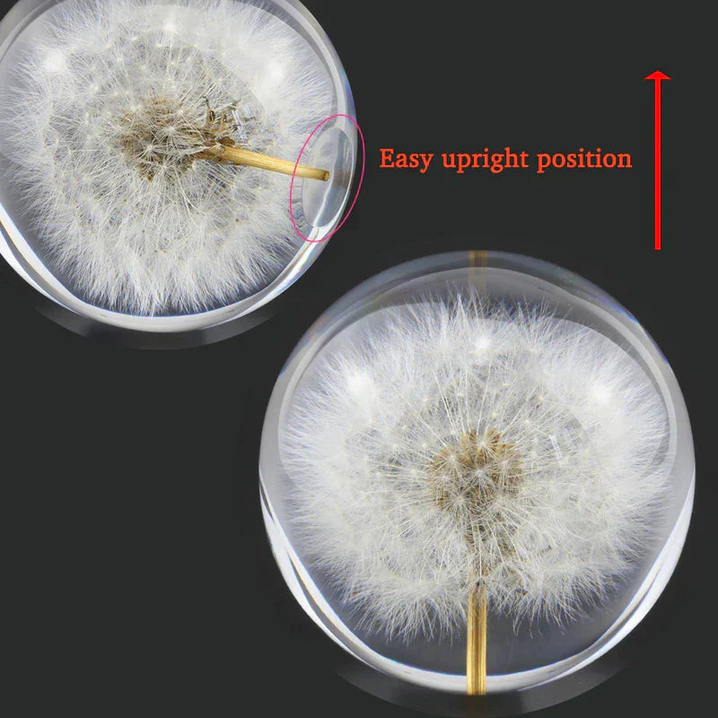 Dandelion Crystal Resin Ball – Real Flower Specimen Paperweight in 4 Sizes