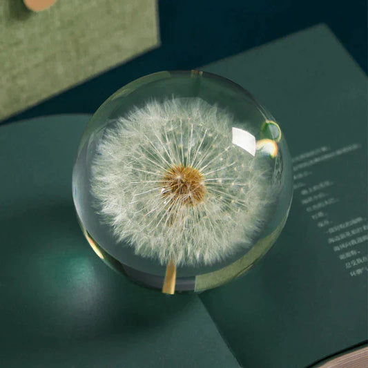 Dandelion Crystal Resin Ball – Real Flower Specimen Paperweight in 4 Sizes
