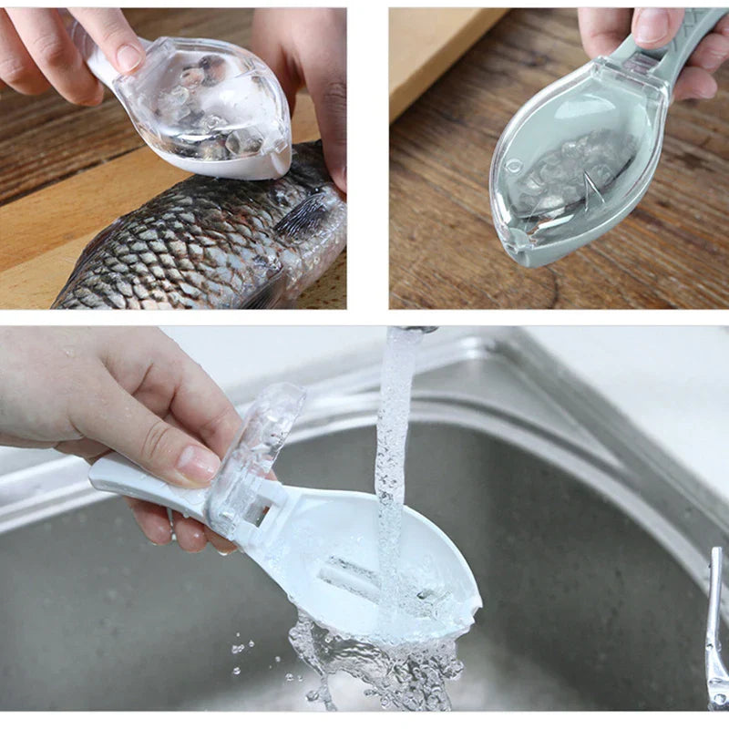 Fish Scales Grater & Scraper – Professional Fish Cleaning Tool