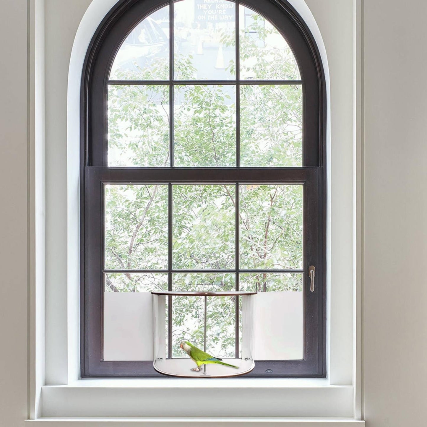 Window Bird Feeder with 180° Clear View – Indoor Fill, Easy Clean, Adjustable Size