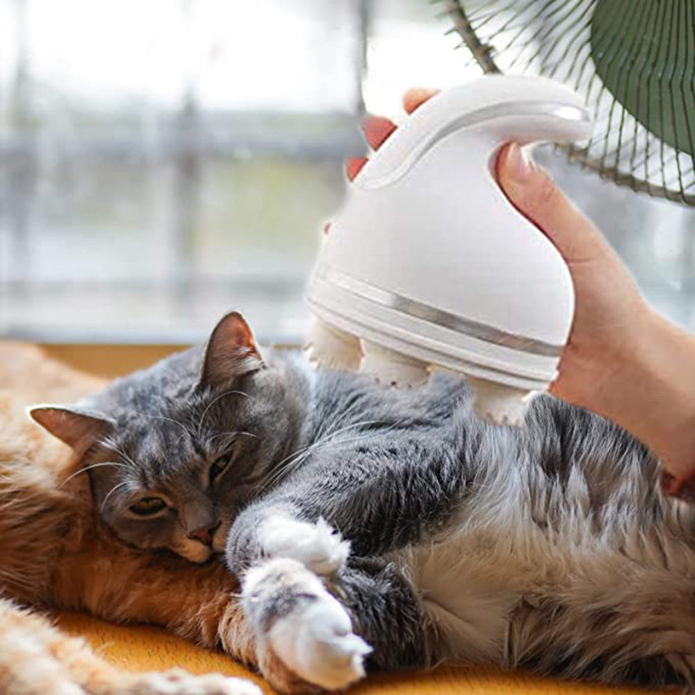 Electric Cat Head Massager – Scalp Relaxation & Stress Relief Device