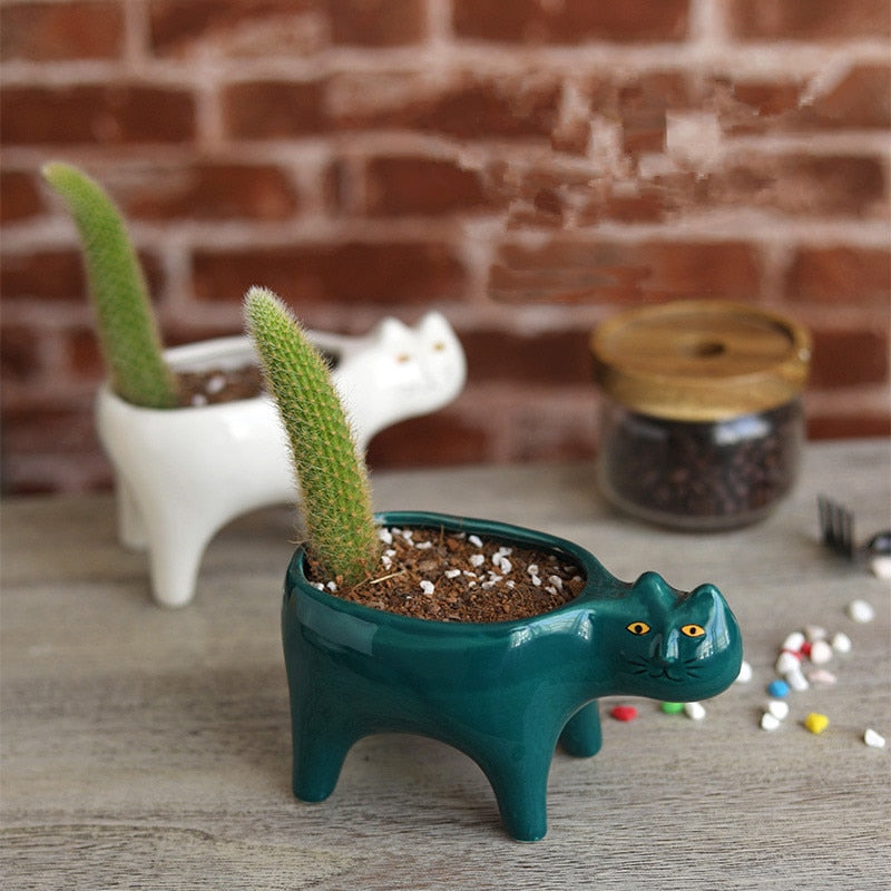 Cat Ceramic Plant Pot – Cute Succulent & Cactus Planter for Home & Office Decor