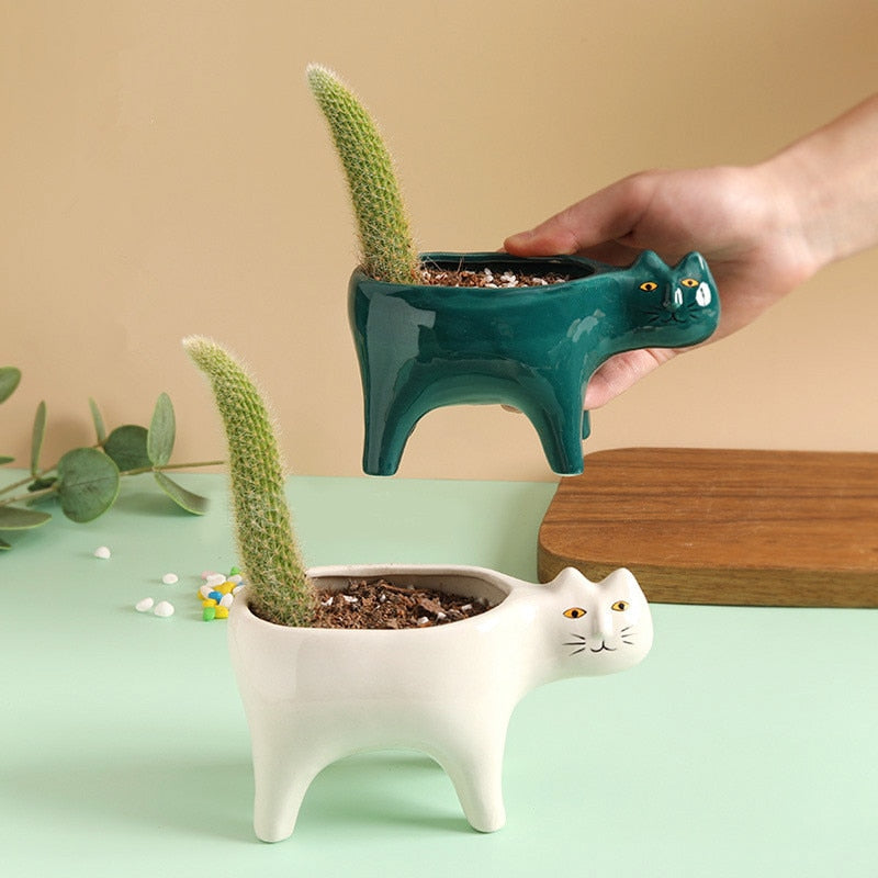 Cat Ceramic Plant Pot – Cute Succulent & Cactus Planter for Home & Office Decor