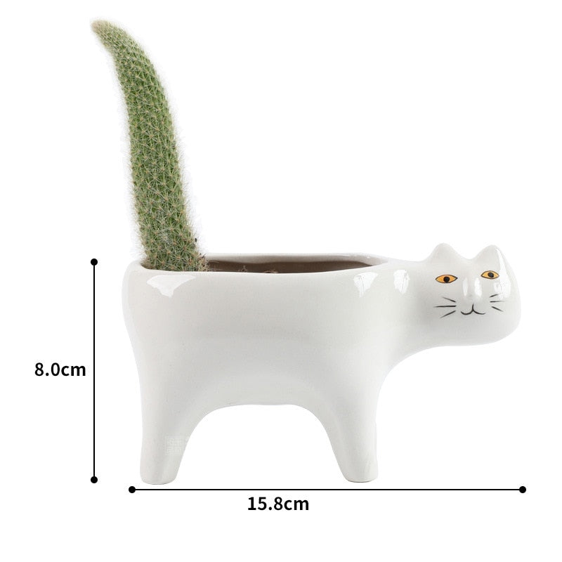 Cat Ceramic Plant Pot – Cute Succulent & Cactus Planter for Home & Office Decor