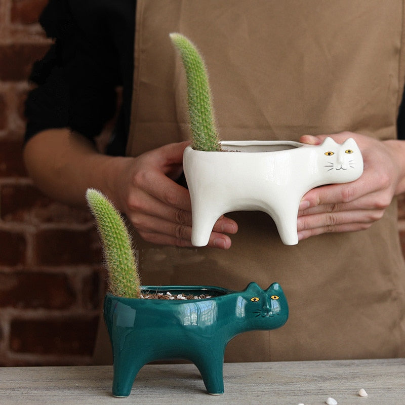 Cat Ceramic Plant Pot – Cute Succulent & Cactus Planter for Home & Office Decor