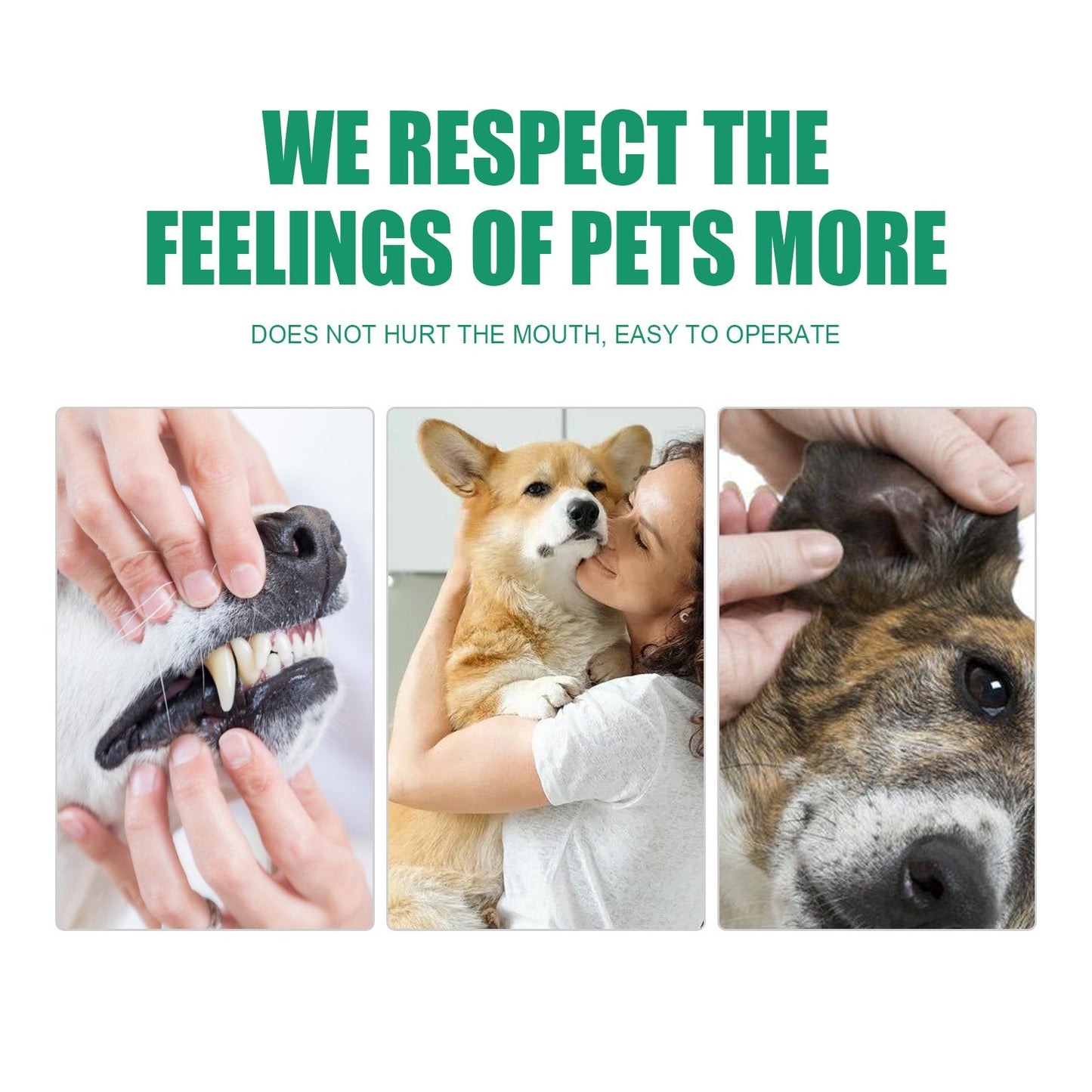 Pet Grooming Kit – LED Electric Nail Grinder, Teeth Cleaning Wipes, Paw Moisturiser & Silicone Scrubber