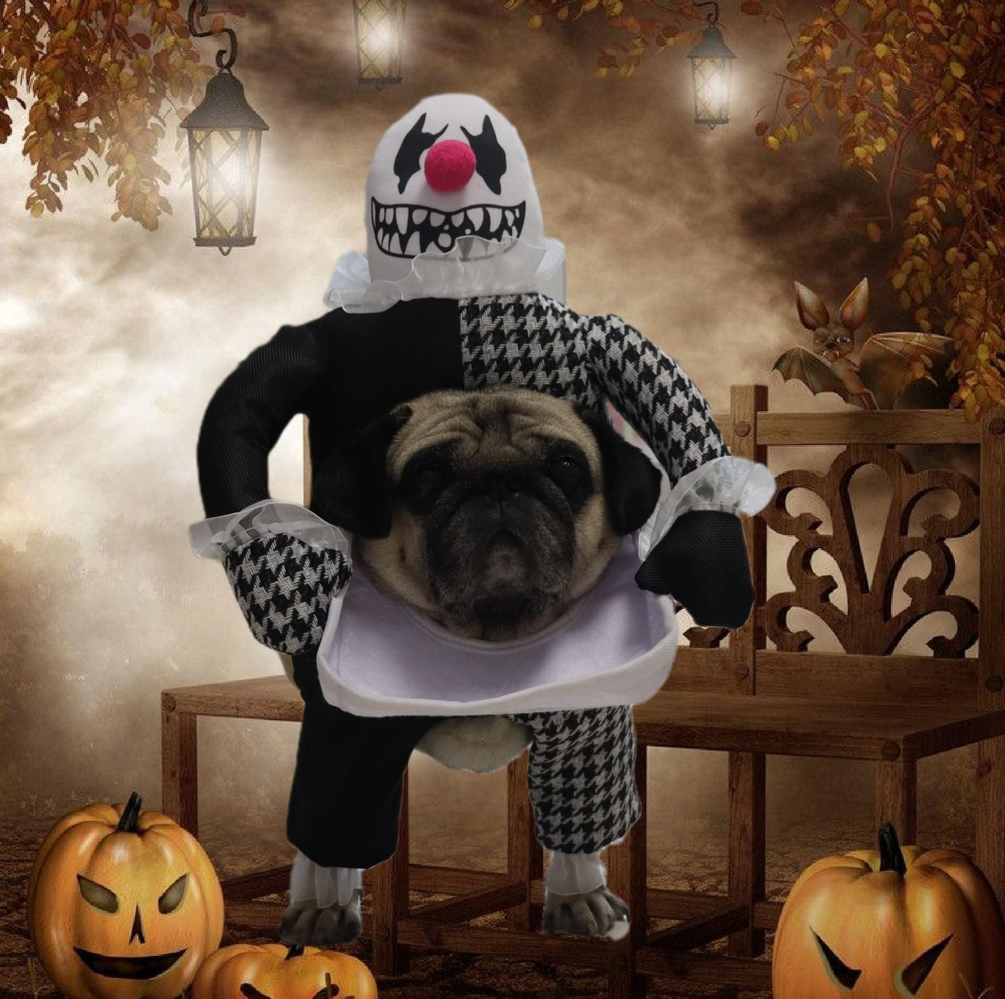 Funny Halloween Devil Dog Costume – Puppy Devil Outfit for Pets