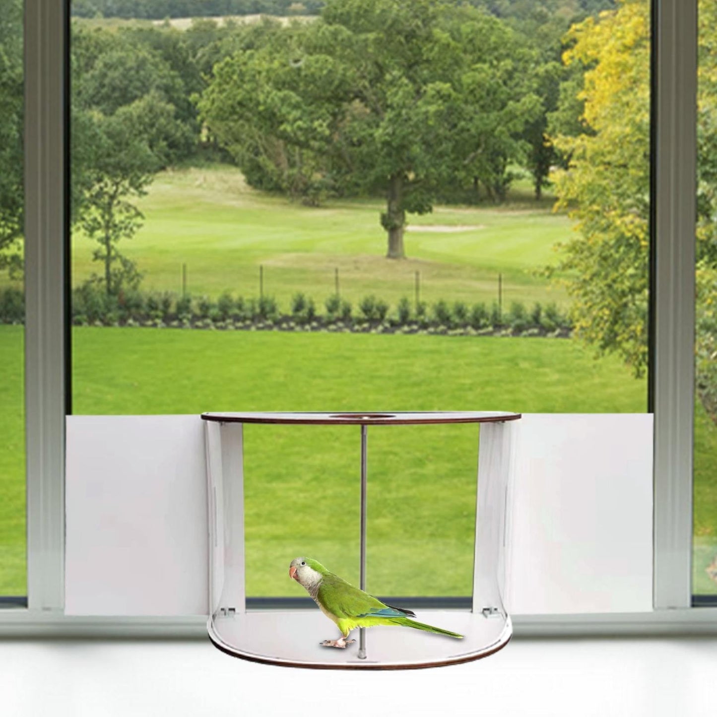 Window Bird Feeder with 180° Clear View – Indoor Fill, Easy Clean, Adjustable Size