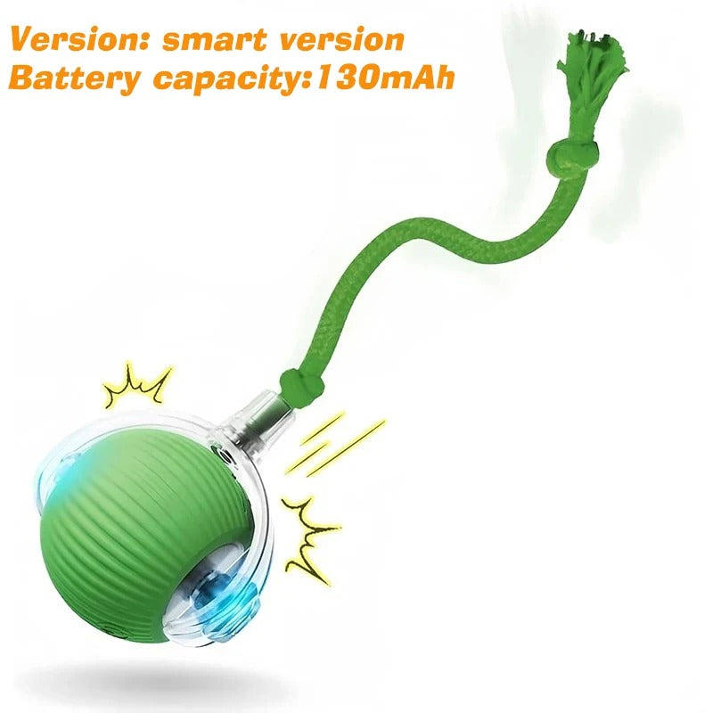 Rechargeable Interactive Cat Ball Toy