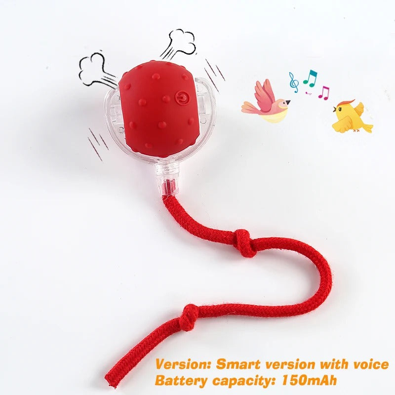 Rechargeable Interactive Cat Ball Toy