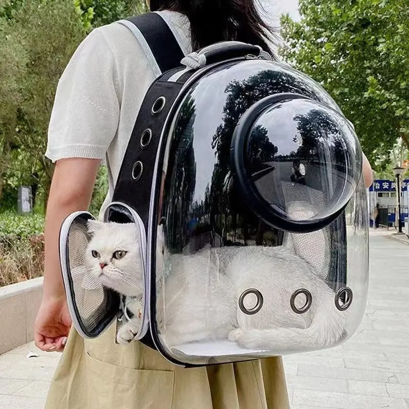 Pet Cat Carrying Bag | Space Capsule Transparent Travel Backpack