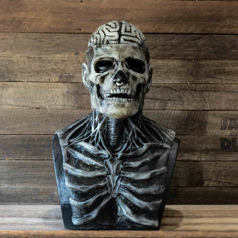 Skull Mask Halloween - Movable Jaw Full Head Skeleton Costume Mask
