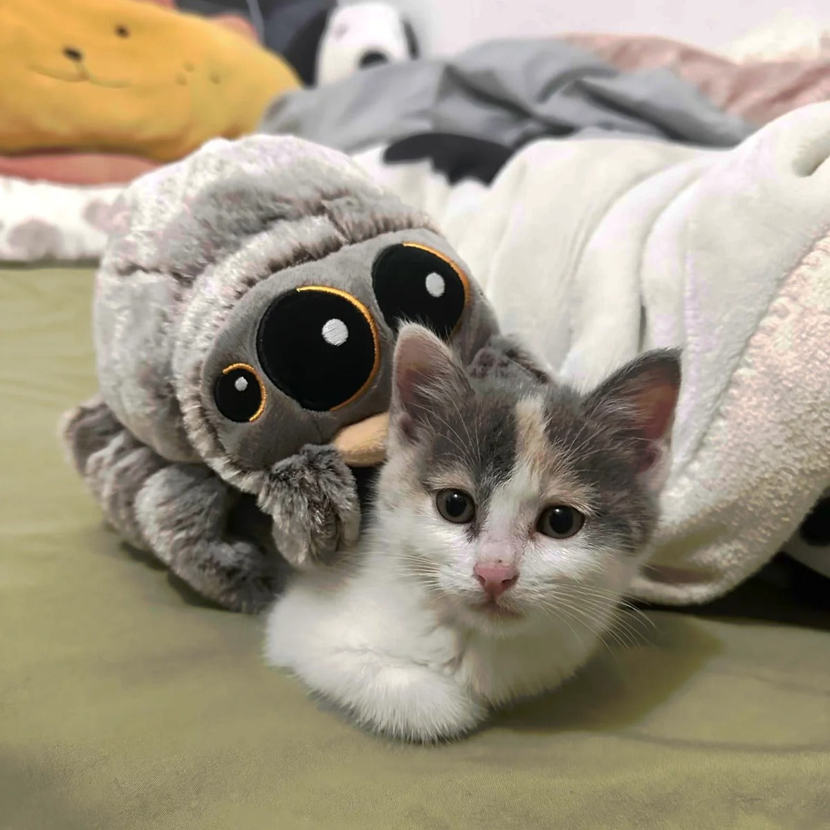 Cute Little Spider Plush Toy – Soft Cartoon Spider