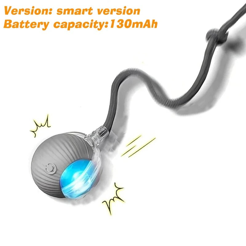 Rechargeable Interactive Cat Ball Toy