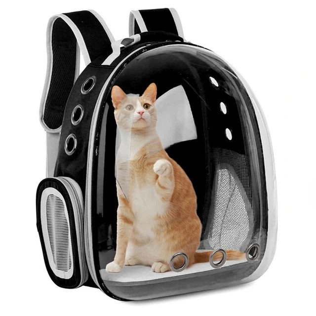 Pet Cat Carrying Bag | Space Capsule Transparent Travel Backpack