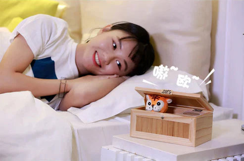 Don't Touch Wooden Box – Funny Novelty Prank Reaction Toy Gift