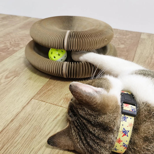 Magic Organ Scratch Board Cat Toy with Bell – Interactive Scratcher & Play Toy