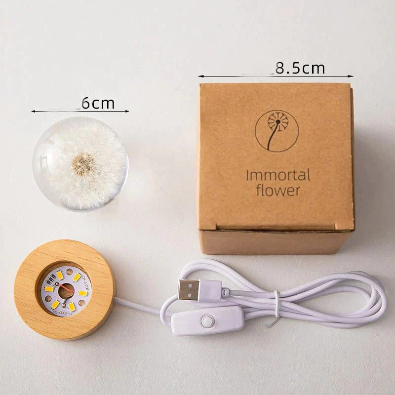 Dandelion Crystal Ball Night Light – LED Flower Lamp with Wooden Base